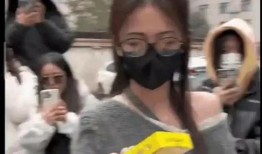 吃瓜娱乐八卦的视频下载,娱乐八卦背后的下载攻略