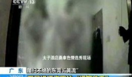 央视暗访爆料视频下载,行业乱象深度剖析